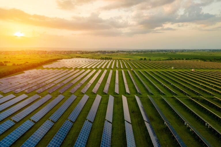Aerial view of large electrical power plant with many rows of solar photovoltaic panels for producing clean ecological electric energy in morning. Renewable electricity with zero emission concept