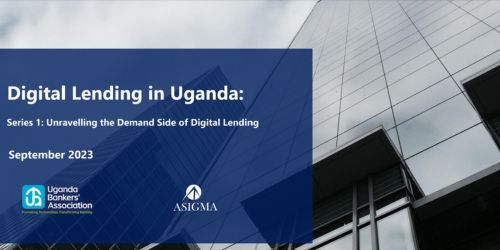 Unravelling the Demand Side of Digital Lending